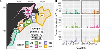 Drivers of Marine Heatwaves in the Northwest Atlantic: The Role of Air–Sea Interaction During Onset and Decline